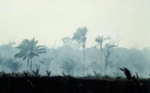 Regenwald brennt südlich von Boavista/Brasilien 1991 - Foto © Gerhard Hofmann, Agentur Zukunft