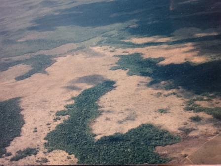 Regenwald bei Roraima, Brasilien, von Goldgräbern zerstört</strong> - Foto © Gerhard Hofmann für Solarify