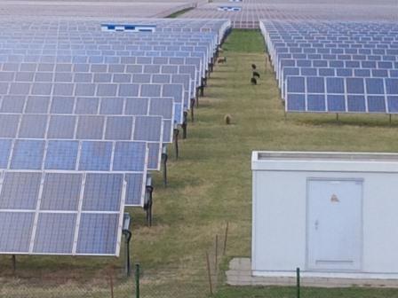 PV-Anlage bei Bitterfeld - Foto © Gerhard Hofmann, Agentur Zukunft 20150418