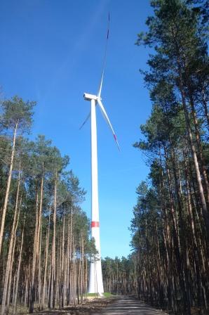 Windgenerator im Wald bei Dahme, Mark - Foto © Gerhard Hofmann, Agentur Zukunft, 20160402