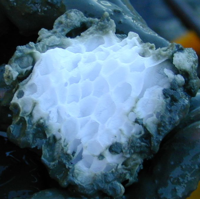 Droht MethanAusbruch? SOLARIFY