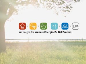 Wir sorgen für saubere Energie - zu 100 % - Grafik © BEE e.V.