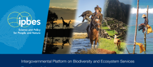 IPBES Regional Assessments, Flyer - Header