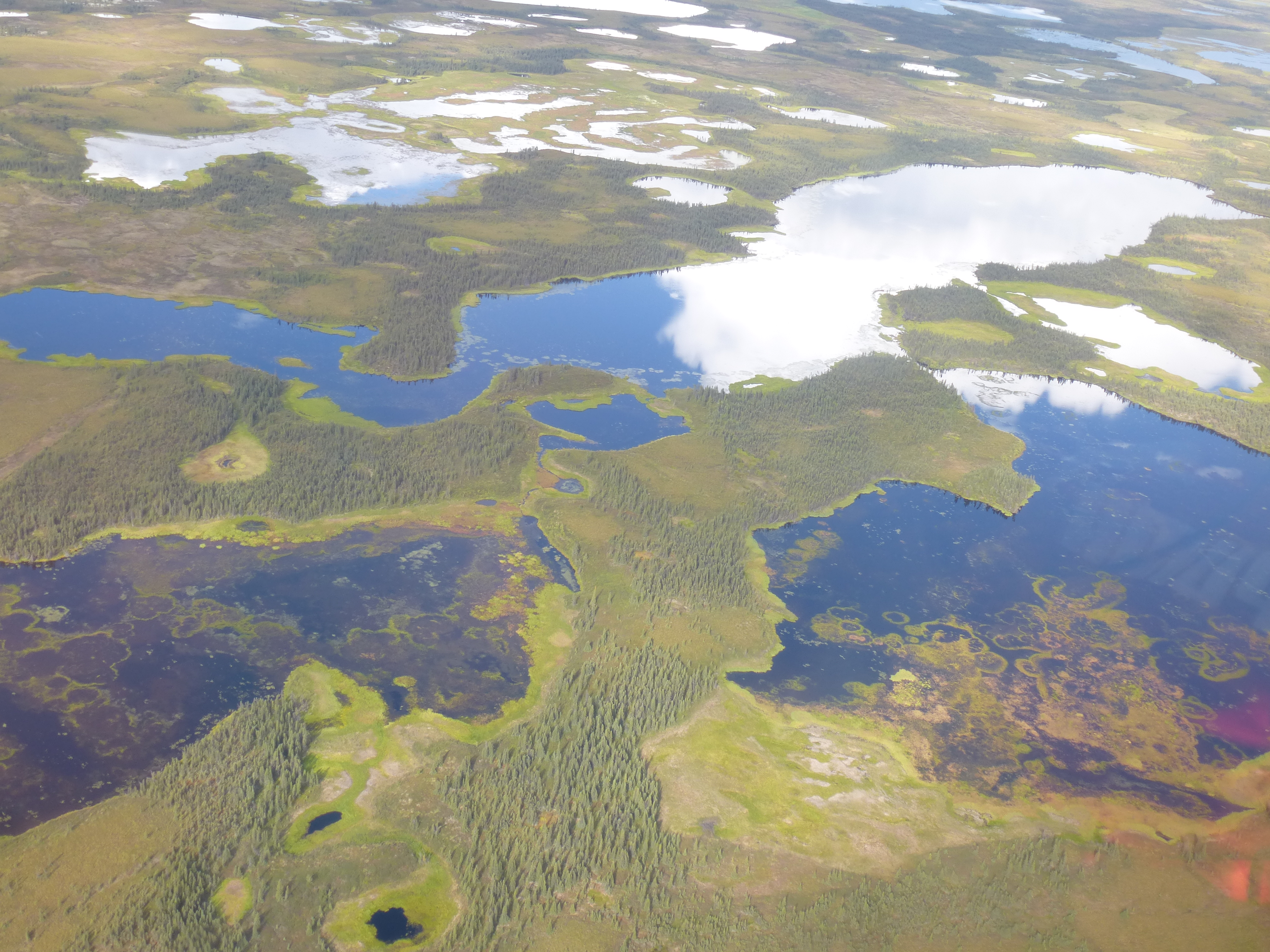 Dynamische seenreiche Permafrostlandschaft in Nordwestalaska (Foto: Ingmar Nitze, AWI)