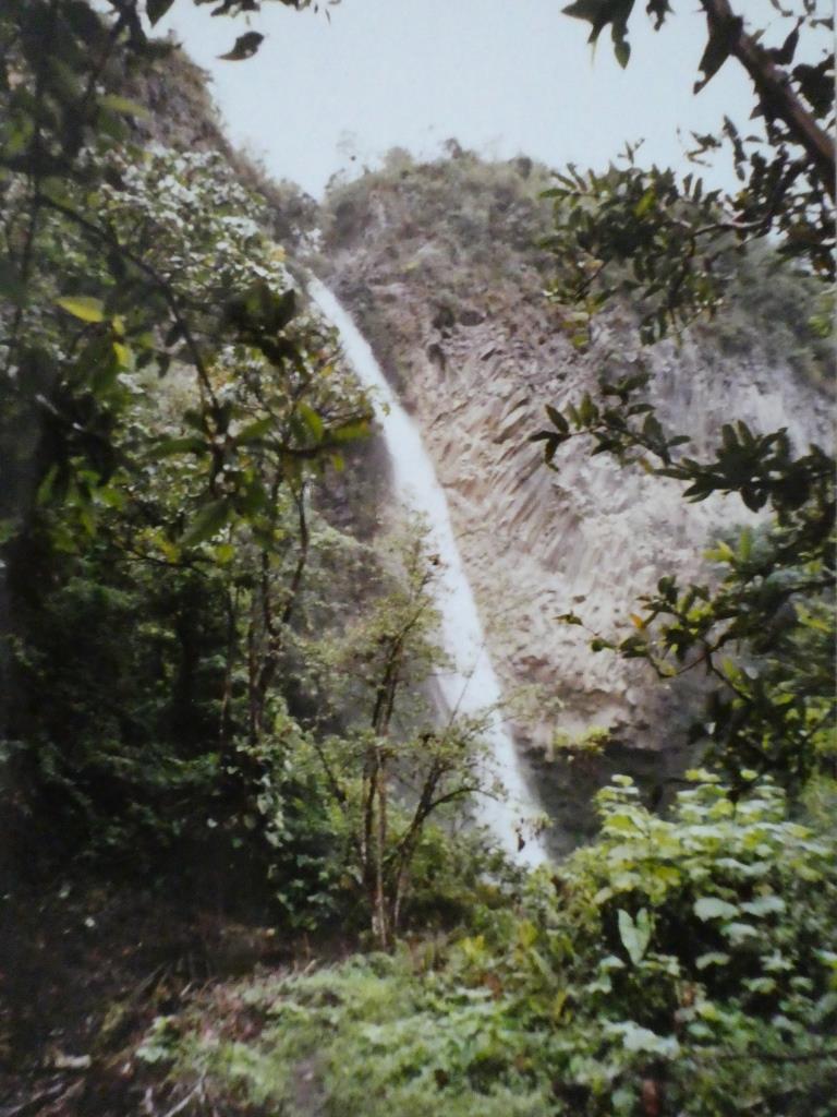 Hier stimmt die Biodiversität noch: Wasserfall im Regenwald Ecuadors 'El Manto de la Novia' - Foto © Gerhard Hofmann für Solarify
