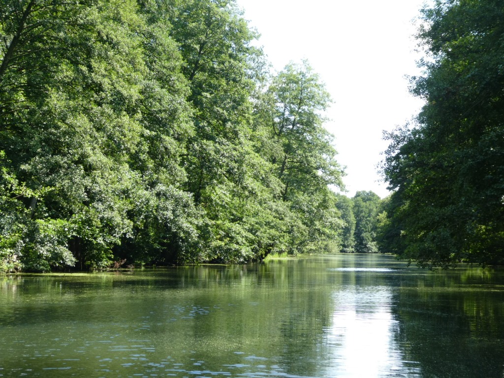 Flusslandschaft an der Dahme bei Berlin - Foto © Solarify