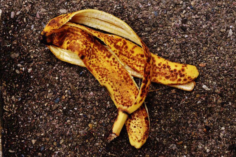 Bananenschale - Foto © Alexas_Fotos, pixabay.com