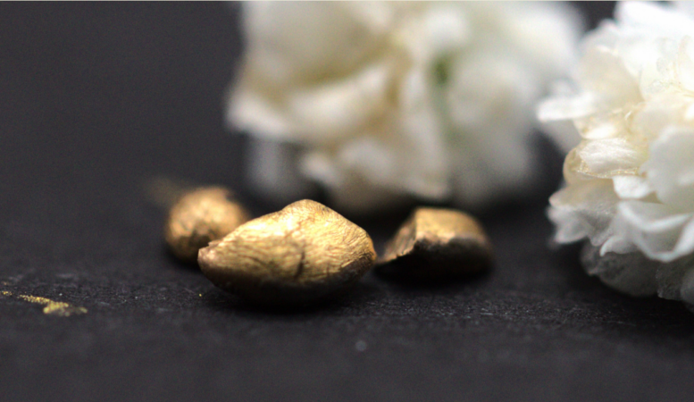 Aus Computer-Leiterplatten gewonnene Goldnugget - Foto © ETH Zürich, Alan Kovacevic