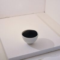 Hard Carbon, gewonnen aus Lignin, einem Nebenprodukt der Holzindustrie, bildet die Basis für die Elektrode der Thüringer Wald-Batterie. © Fraunhofer IKTS