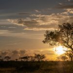 Foto von Den Harrson auf Unsplash