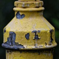 Image by Alexa from Pixabay