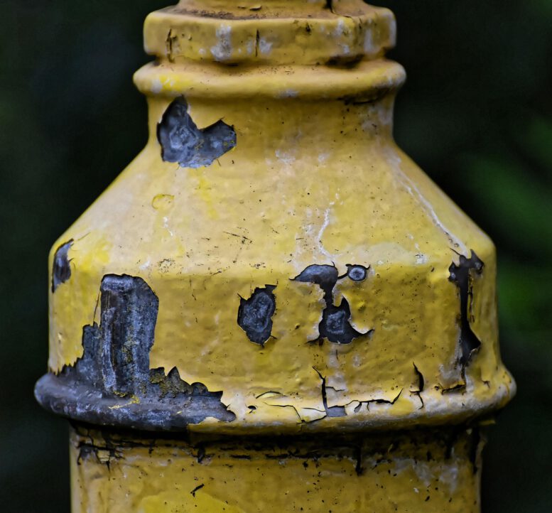 Image by <a href="https://pixabay.com/users/alexas_fotos-686414/?utm_source=link-attribution&utm_medium=referral&utm_campaign=image&utm_content=4372635">Alexa</a> from <a href="https://pixabay.com//?utm_source=link-attribution&utm_medium=referral&utm_campaign=image&utm_content=4372635">Pixabay</a>