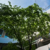 Foto von Declan Sun auf Unsplash