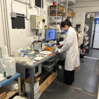 Waterloo PhD student Wei Wei, who led the research, works in the lab on plastic upcycling. (University of Waterloo