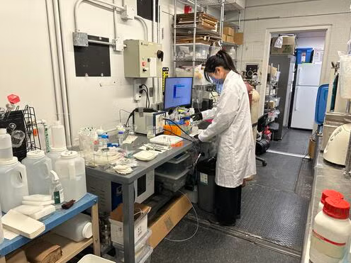 Waterloo PhD student Wei Wei, who led the research, works in the lab on plastic upcycling. (University of Waterloo