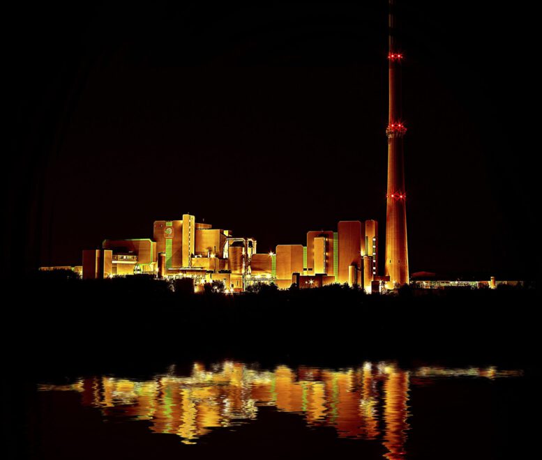 Image by <a href="https://pixabay.com/users/arttower-5337/?utm_source=link-attribution&utm_medium=referral&utm_campaign=image&utm_content=288182">Brigitte Werner</a> from <a href="https://pixabay.com//?utm_source=link-attribution&utm_medium=referral&utm_campaign=image&utm_content=288182">Pixabay</a>