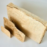 © Fraunhofer IAP / Jadwiga Galties Flexible Myzelmaterialien in unterschiedlicher Dicke können als Polstermaterial, Dämmplatte oder Lederalternative verwendet werden.