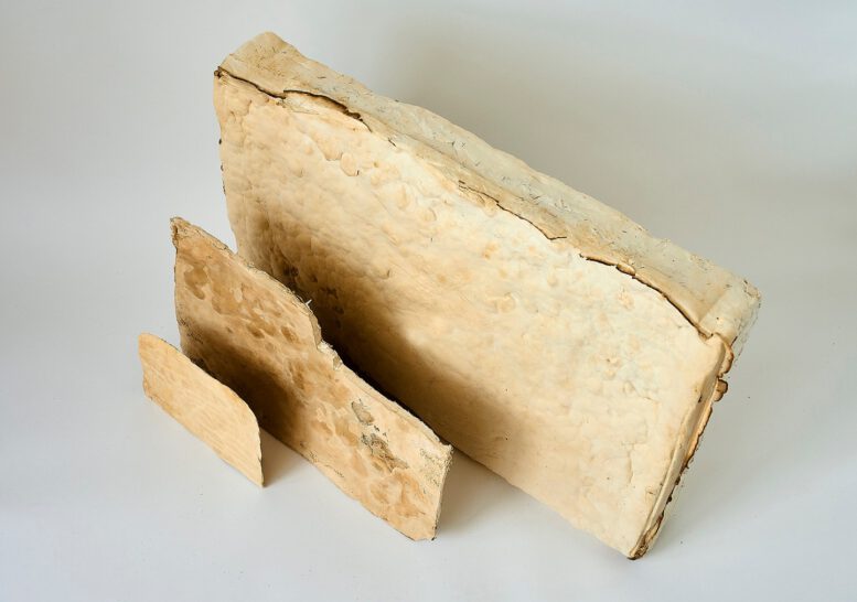 © Fraunhofer IAP / Jadwiga GaltiesFlexible Myzelmaterialien in unterschiedlicher Dicke können als Polstermaterial, Dämmplatte oder Lederalternative verwendet werden.