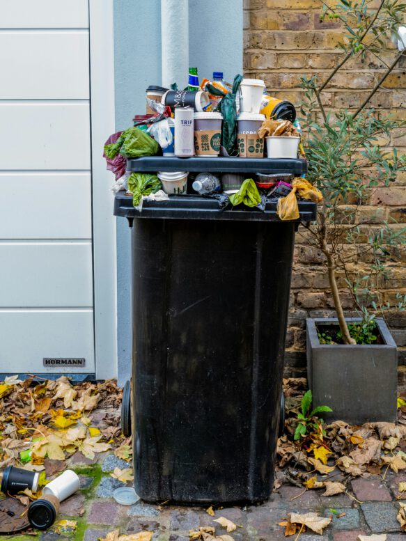 Foto von <a href="https://unsplash.com/de/@theblowup?utm_source=unsplash&utm_medium=referral&utm_content=creditCopyText">the blowup</a> auf <a href="https://unsplash.com/de/fotos/black-trash-bin-with-green-leaves-t06aN6vewaQ?utm_source=unsplash&utm_medium=referral&utm_content=creditCopyText">Unsplash</a>