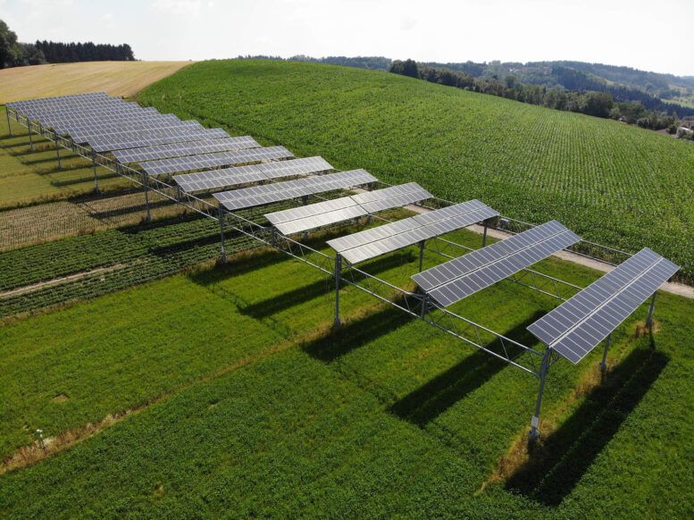 © BayWa r.e.The agrophotovoltaic system in Heggelbach near Lake Constance in Germany.