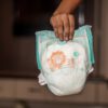 Image by Mahesh Patel from Pixabay