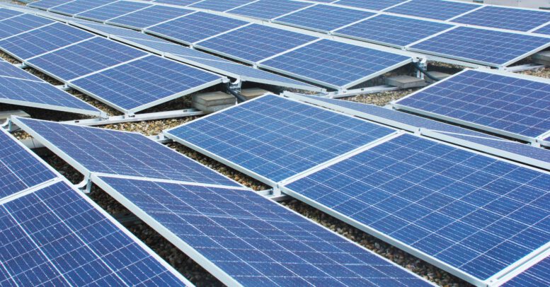 Bild von <a href="https://pixabay.com/de/users/solarimo-15097051/?utm_source=link-attribution&utm_medium=referral&utm_campaign=image&utm_content=4824555">Solarimo</a> auf <a href="https://pixabay.com/de//?utm_source=link-attribution&utm_medium=referral&utm_campaign=image&utm_content=4824555">Pixabay</a>